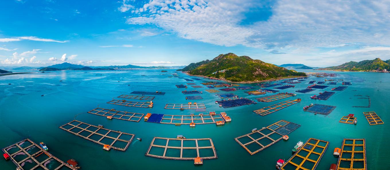 18av
:深化金融服务创新 贡献国有担保力量