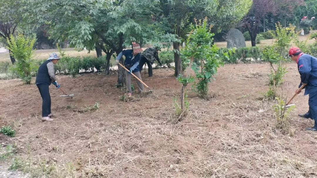 【国投资讯】开展陵园环境整治 营造绿色祭扫环境