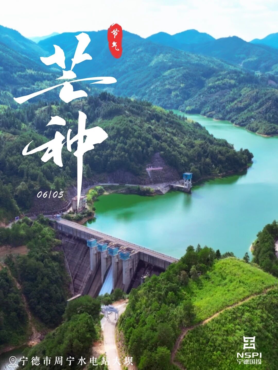 【节气·芒种】时雨及芒 暑气渐长